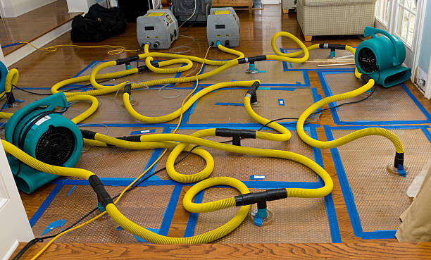 Professional Crawl Space Water Removal technician working in Nipton, CA